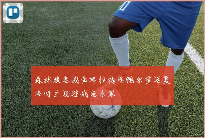 森林狼客战黄蜂拉梅洛鲍尔重返夏洛特主场迎战老东家