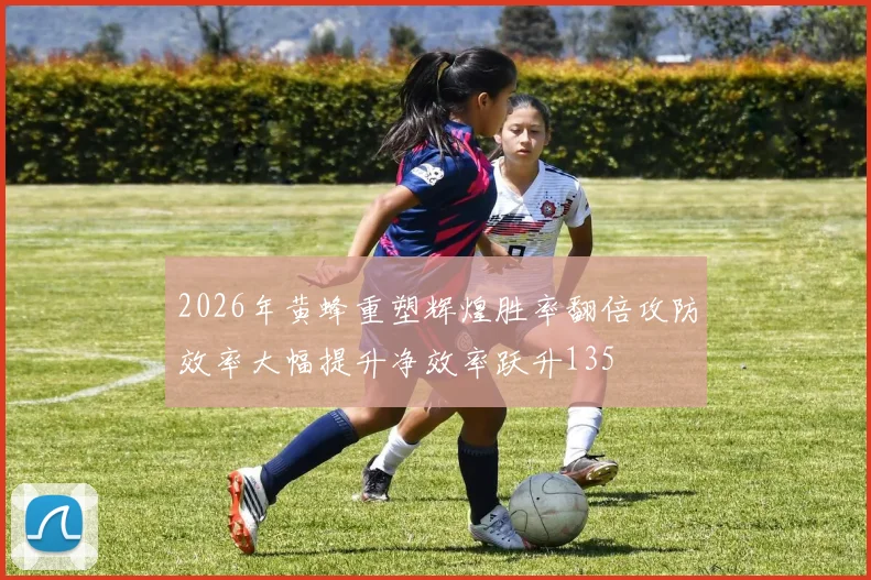 2026年黄蜂重塑辉煌胜率翻倍攻防效率大幅提升净效率跃升135